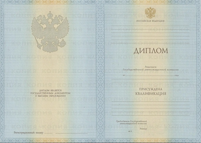 Диплом менеджера 2009-2010 года